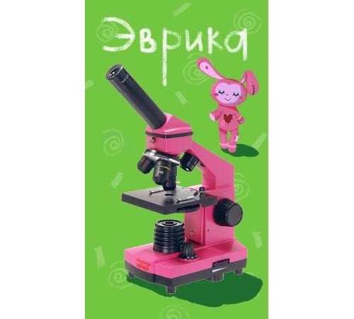 Микроскоп школьный Эврика 40х-400х в кейсе (фуксия) Микроскоп школьный Эврика 40х-400х в кейсе (фуксия)