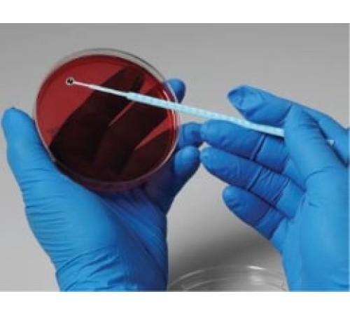 Campylobacter jejuni, штамм ATCC BAA-1153, 5 петель, Thermo FS Campylobacter jejuni, штамм ATCC BAA-1153, 5 петель, Thermo FS