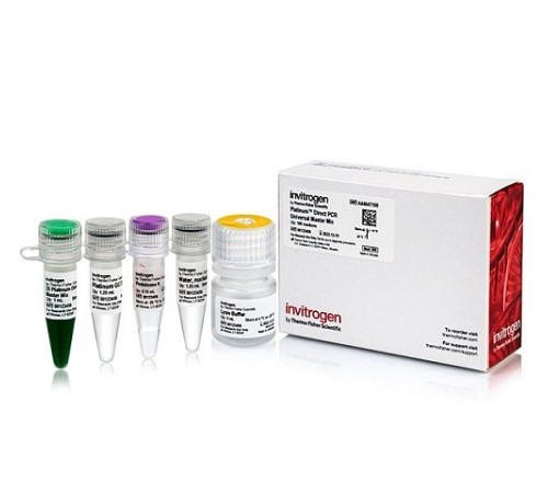Набор для проведения прямой ПЦР Platinum Direct PCR Universal Master Mix из образцов различного происхождения без предварительного выделения ДНК, Thermo FS Набор для проведения прямой ПЦР Platinum Direct PCR Universal Master Mix из образцов различного происхождения без предварительного выделения ДНК, Thermo FS